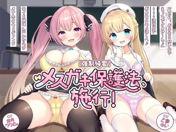 Cover of 【日文版】【强○纯爱】雌○鬼保护法，施行!「我们，小穴弱弱的没法做爱～♪」→→→法律修正后肏坏小穴♪ 把嚣张JK姐妹调教成飞机杯的婚礼