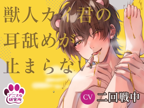 Cover of 【導入編/110円!!】獣人カイ君の耳舐めが止まらない【アニマル研究所 CV:二回戦中】