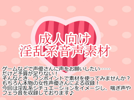Cover of 淫乱系音声素材集