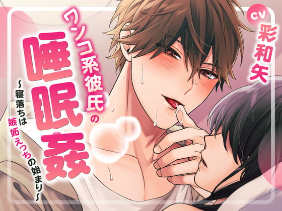 Cover of ワンコ系彼氏の睡眠姦～寝落ちは嫉妬えっちの始まり～